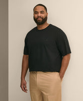 Big & Tall Supima® Cotton T-Shirt