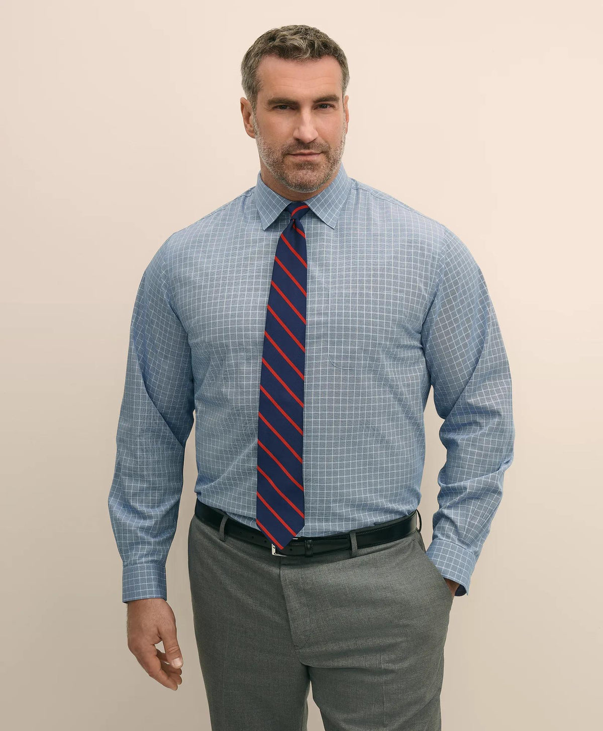 Big & Tall Stretch Cotton Broadcloth Non-Iron Ainsley Collar Windowpane, Dress Shirt