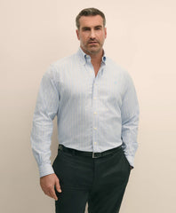 Big & Tall Stretch Cotton Non-Iron Oxford Polo Button Down Collar, Outline Stripe Shirt