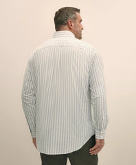 Big & Tall Stretch Cotton Non-Iron Oxford Polo Button Down Collar, Outline Stripe Shirt