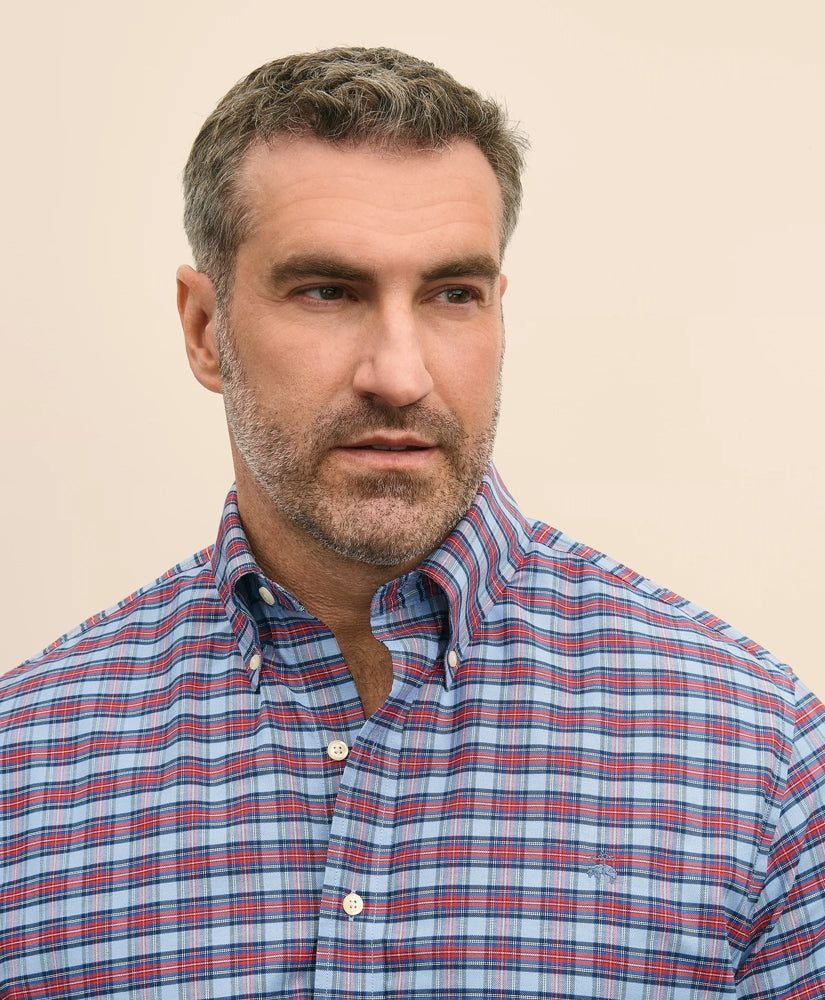 Big & Tall Stretch Cotton Non-Iron Oxford Polo Button Down Collar, Royal Stewart Tartan Shirt