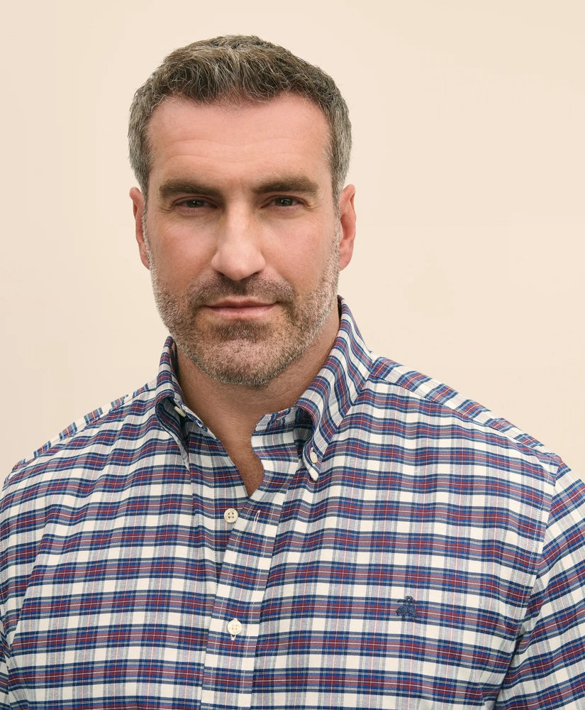 Big & Tall Stretch Cotton Non-Iron Oxford Polo Button Down Collar, Royal Stewart Tartan Shirt