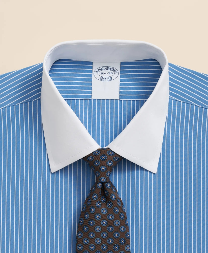 Pure Supima® Cotton Regular-Finish Ainsley Collar, Ground Stripe Dress Shirt
