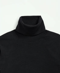 Ultimate Merino Wool Turtleneck Sweater