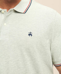 Big & Tall Golden Fleece® Supima® Tipped Polo Shirt